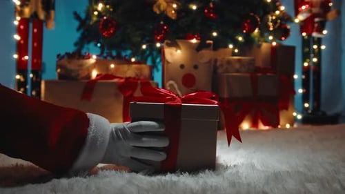 Christmas Holiday Gift Placed Under Decorated Tree