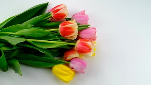 Close Up of a Bouquet of Colorful Tulips
