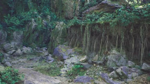Retraite naturelle fermée avec des corniches moussues et des eaux en cascade