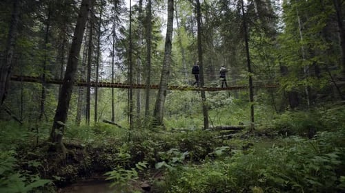 Backpacker Walking on Rope Bridge in Lush Forest