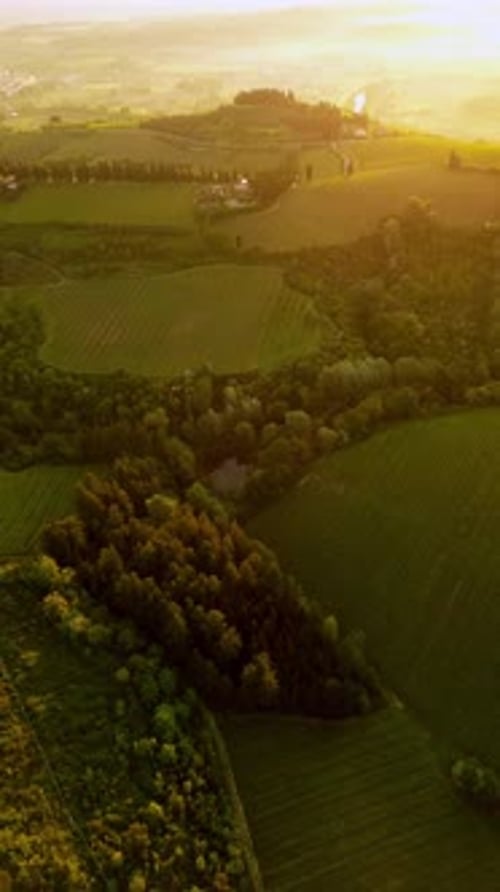 Vue aérienne de la prairie au coucher du soleil baignée d'une lumière chaude parfaite pour la détente