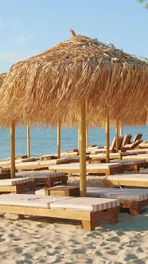 At the Sunlit Beach Comfortable Loungers with Thatched Umbrellas Await By the Sea