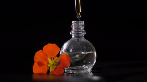 Produto de perfume, perfumaria e óleo essencial. Gotas caindo da pipeta cosmética para o frasco de vidro