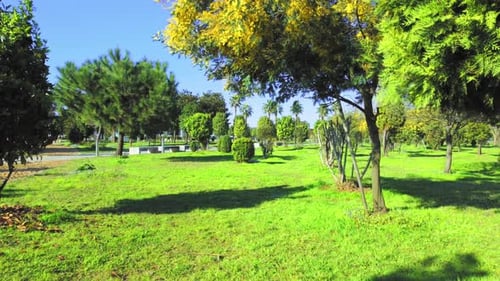 Cityscape of public park on bright sunny day, flight of drone.