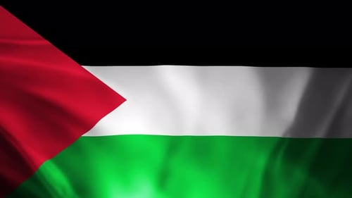Seamlessly Looping Waving Flag of Palestine