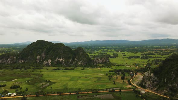 Limestone formations on ripe green rice paddies, flat lands of ...