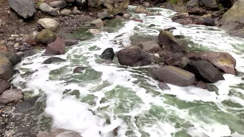 Polluted River