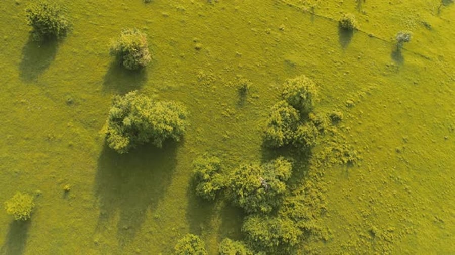 Cover for Cinematic Aerial Shot of an Endless Mountain and Forest Landscape