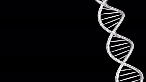 Technologie-DNA