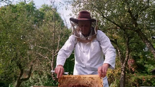 Honeycombs Beekeeper Man