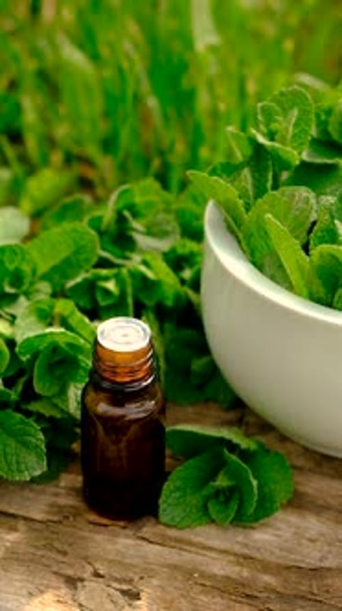 Essential Oil and Fresh Mint on Wooden Surface