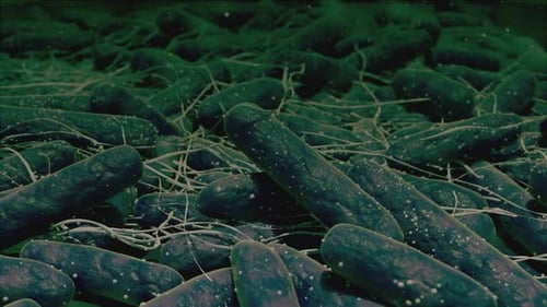 Microscopic Bacteria Cells Animation for Medical Science Backgrounds