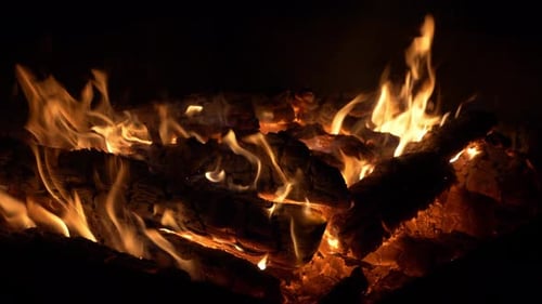 Intense Burning Embers Light Up Logs in a Dynamic Campfire