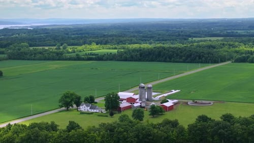 Ländliche landwirtschaftliche Farm, Scheune und Silos zwischen grünen Ackerflächen im Mittleren Westen der USA Amerikanische Landwirtschaft