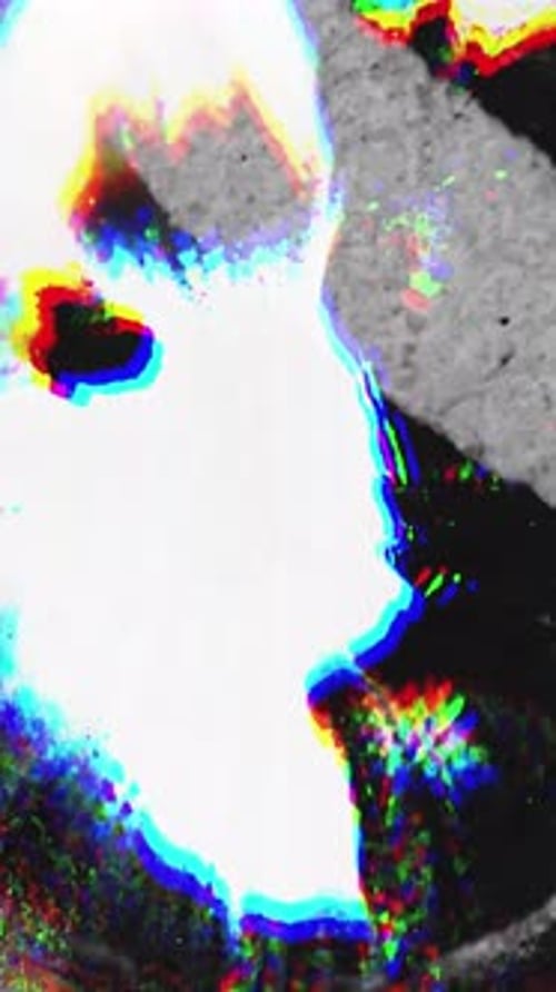 Distorted Glitch Noise Vertical Overlay with Abstract Retro Vibe and Film Burn