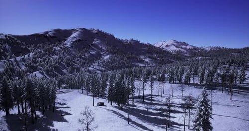 Aerial View of Snowy Mountain Pine Forest Landscape