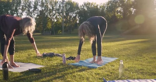 Four women enjoying yoga in a sunny park embracing friendship and wellbeing