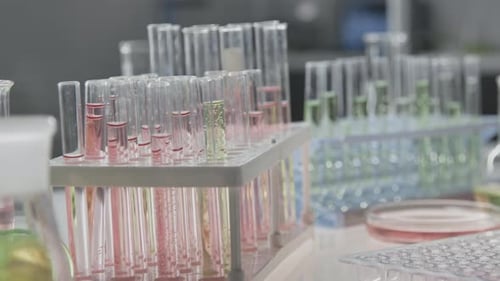 Close-up of Pink and Green Liquids in Test Tube Racks on Table in Laboratory