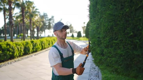a Male Gardener in Uniform in the Process of Cutting Bushes with Garden Scissors
