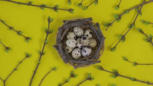 Easter eggs in nest rotate. Happy Easter holiday