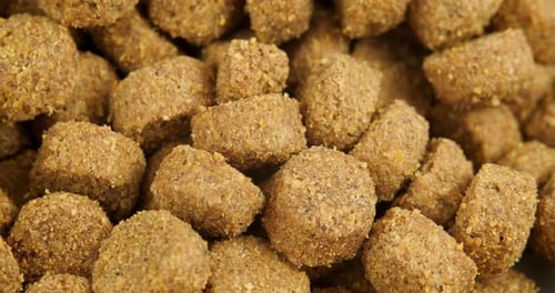 Dry Tan Dog Food Close Up