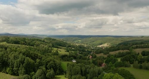 Aerial View Of Green Forest Landscape