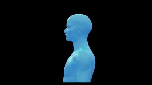 Futuristic Rotating Human Wireframe Model Loop