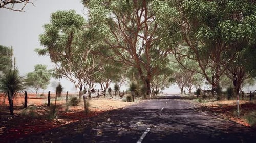 Open Road in Australia with Bush Trees