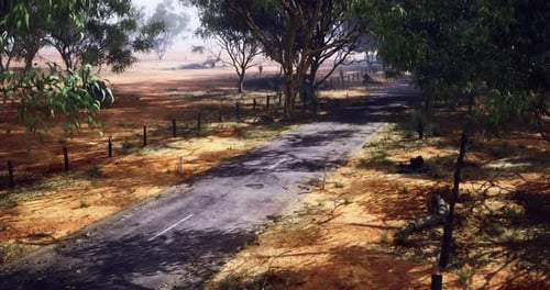 Deserted Road Surrounded By Trees in Arid Landscape During Daytime