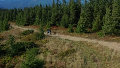 Couple Hiking Through Forest Road View