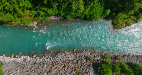 Top Down View of Fast Moving River Surrounded By Pine Forest Canada
