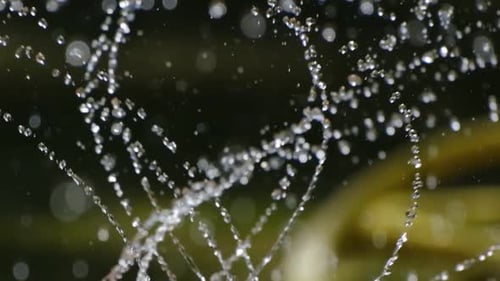 macro shoot on splashing water drops on slow motion