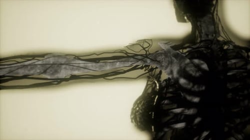 Human Skeleton Bones Scan Glowing