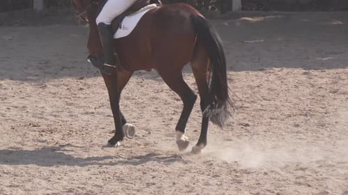 Close-up of the legs of a horse trotting elegantly in equestrian competition. Closeup 120 fps 4k.