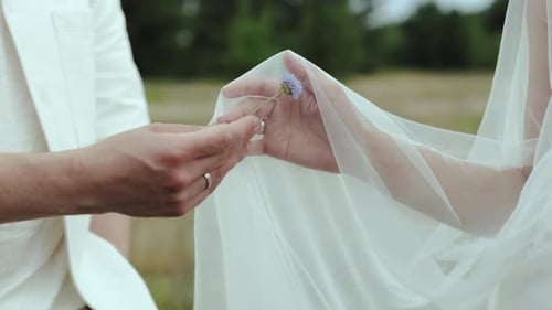 Closeup Touching Hands of Couple in Love in the Field Female Gently Touch Tender Flower in Arm of