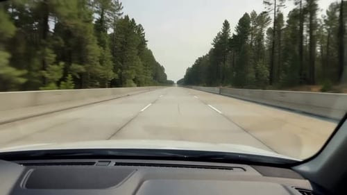 POV Conduciendo por un bosque de pinos en una carretera recta