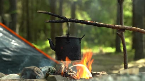 A Tourist Kettle Boils On An Open Fire Against The Backdrop Of A Forest