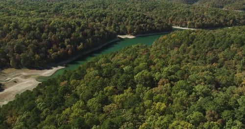 Aerial View Of Lush Green Trees In The Forest With River In Summer.