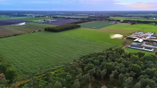 Aerial View of Green Farmland with Irrigation Systems