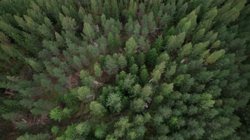 Aerial shot of Scandinavian finnish forest from above and forestry Ponsse Scorpion harvester, shot w