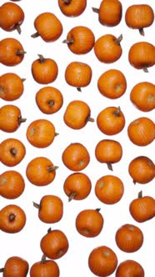 Vertical Falling Pumpkins on White