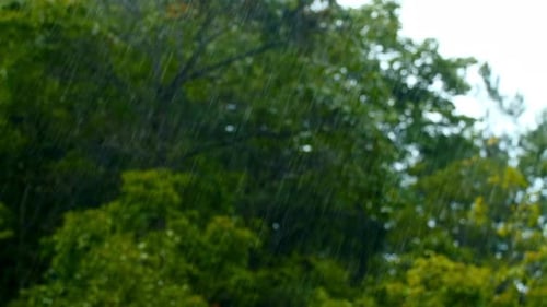Water Drop Falling