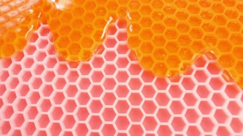 Artificial Bee Honeycombs