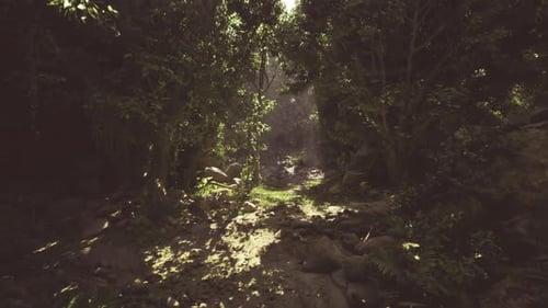 Sunlit Rocky Pathway and Creekbed Create Cinematic Climbing Imagery