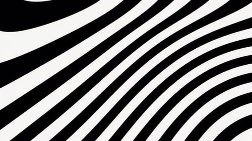 Paints Zebra Animated Vj Loop Background