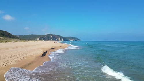 An Aerial Perspective of Ocean Waves Crashing onto a Green Lined Beach