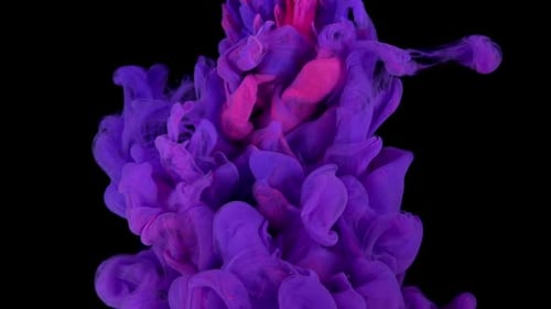 Purple and Pink Ink Blooming on Black