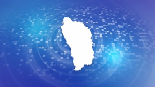 Digital Grid Map Reveal Animation