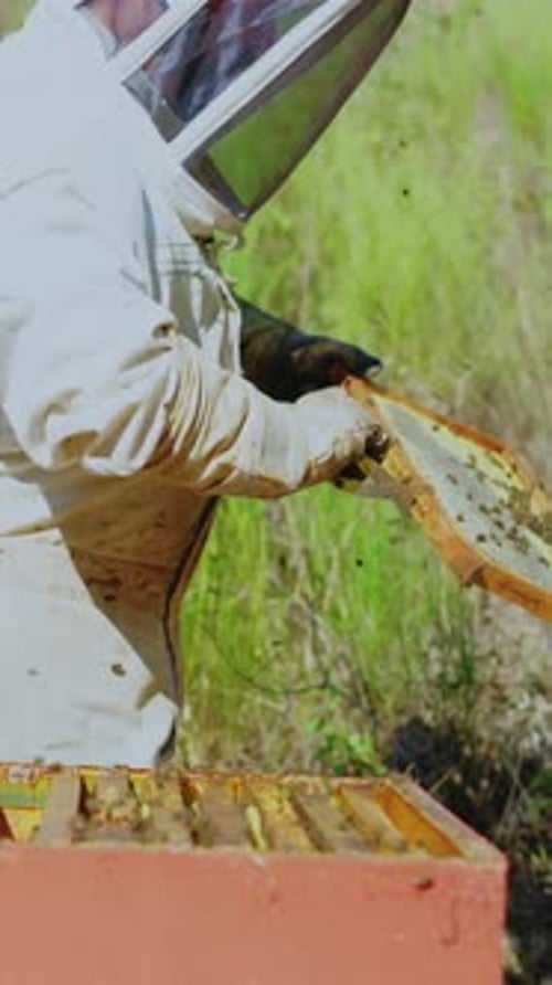 Beekeeper Tends to a Beehive Covered in Bees