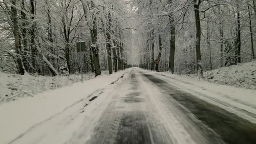 Snowy Road Through Frosty Spruce Forest During Winter Near Countryside Village Of Pieszkowo, Poland.